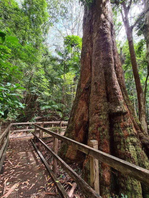 Bird Tree picnic area