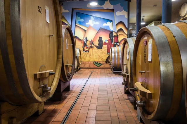 Ca' Lustra di Zanovello Franco & C. S.S. Agricultural society