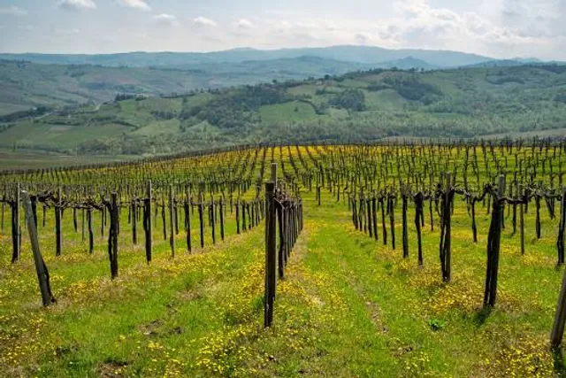 Alsace Adventure Park