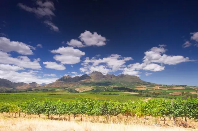 STELLENBOSCH WINE ROUTES