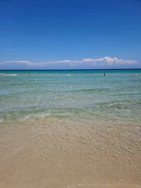 Lido dei Pini