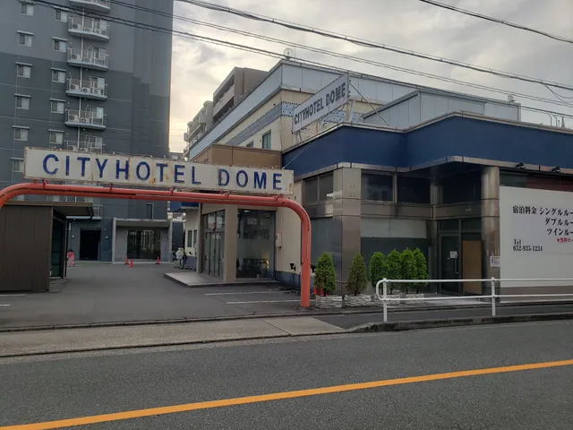 City Hotel Dome