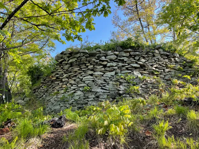 Washiojō Castle Ruins