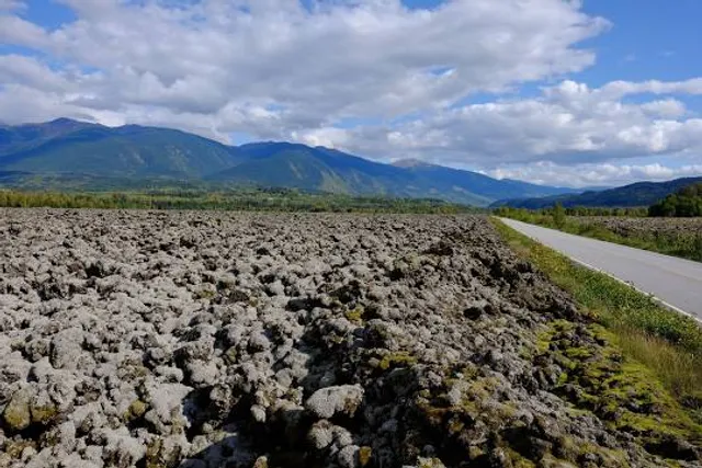 Area A (Nass Valley/Bell Irving)