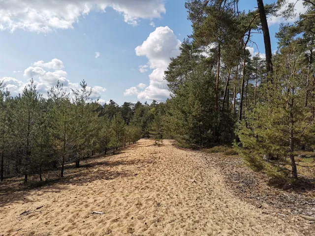 Fränkischer Dünenweg