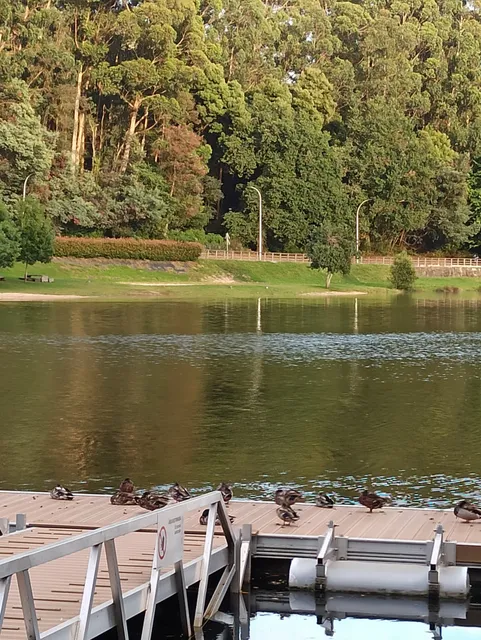 Praia fluvial do Lérez