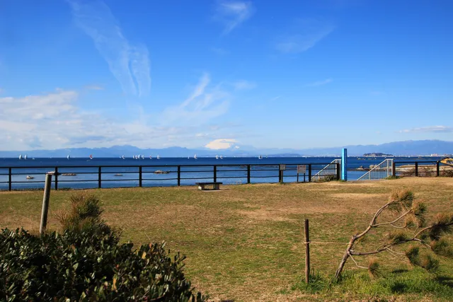 Hayama Park