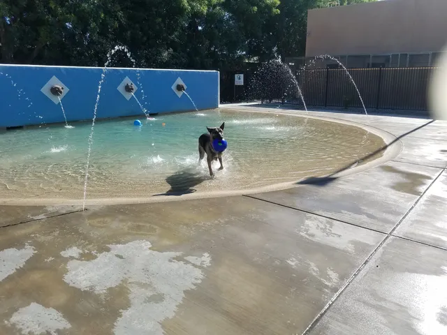 Dr. James W. Thornton Dog Park