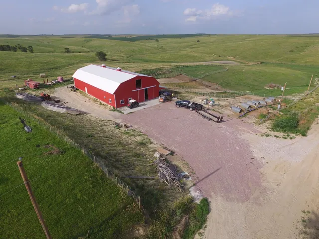 Mini Barnyard Friends, LLC