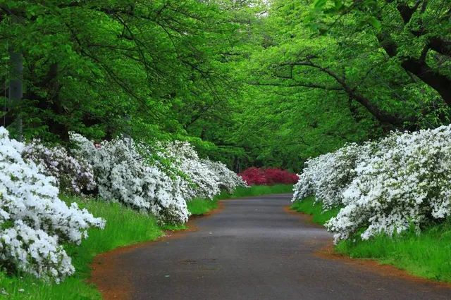Keihinjima Port Park