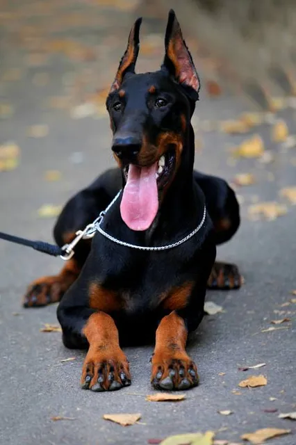 Gubaylovskiy Ekopark