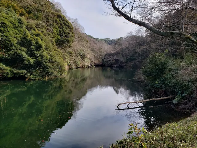 Sanzagaike Forest Park