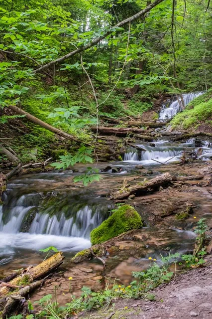 Weaver's Creek Falls Trail