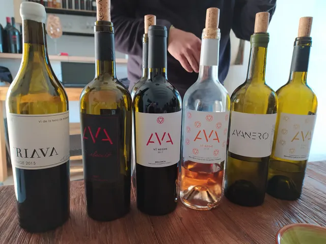 Bodega AVA Vi