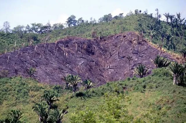 Beautiful River Falls Ecological Park