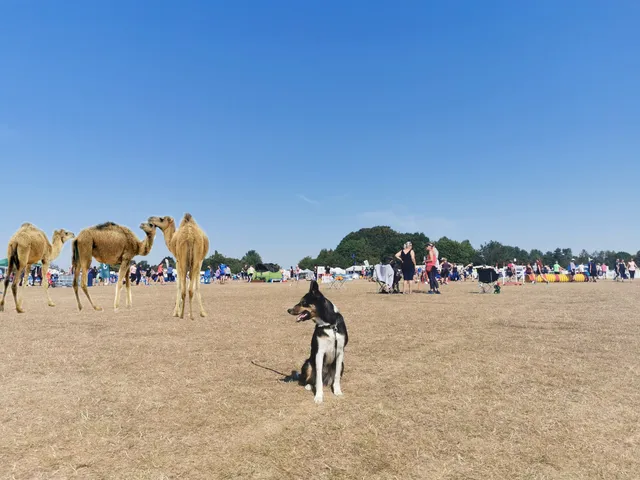 The Rutland Showground