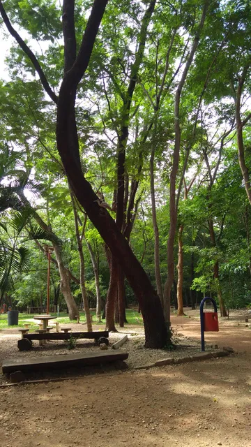 Região Geográfica Intermediária de Rondonópolis