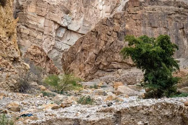 Wadi Al Karak