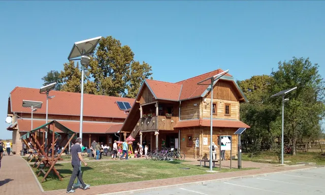 photo-2
