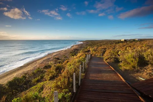 Lobería Punta Norte