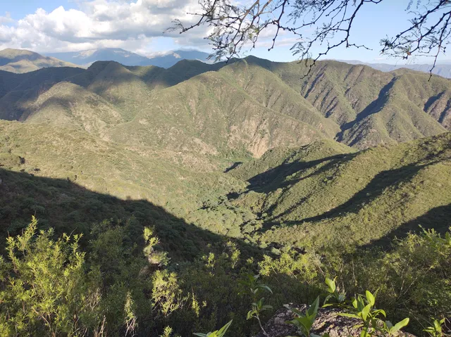 Cuesta de Capillitas