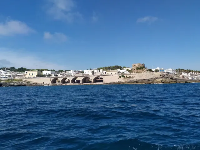 photo-2
