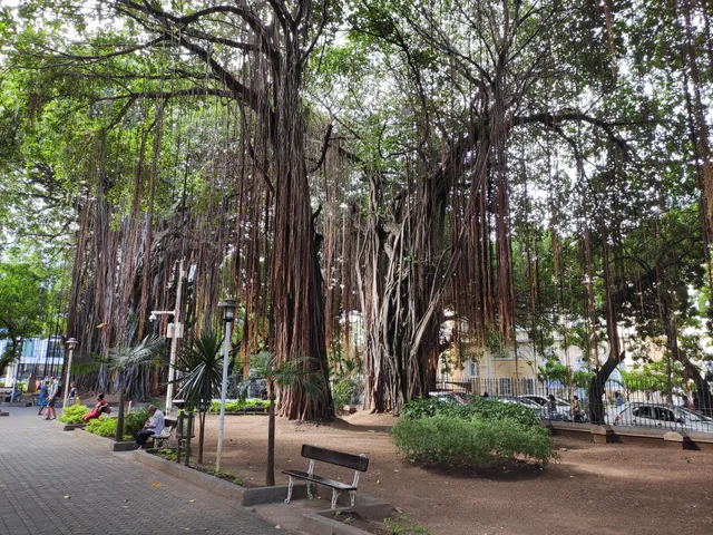 Les Jardins De La Compagnie