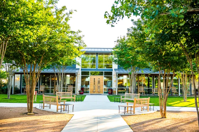 Texas Wine Collective