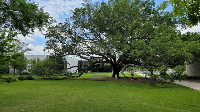 Menil Park