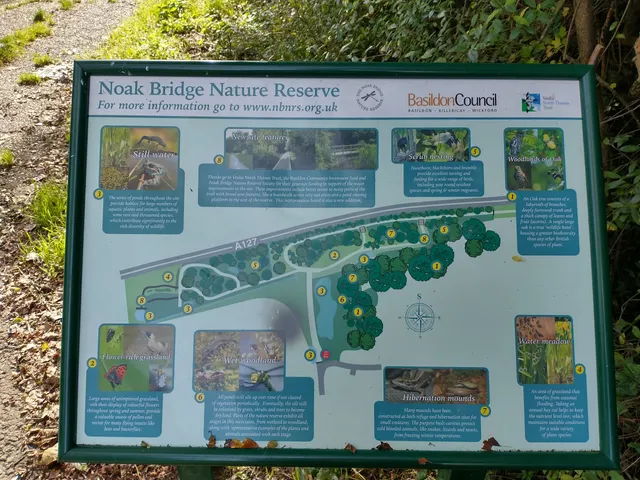 Noak Bridge Nature Reserve