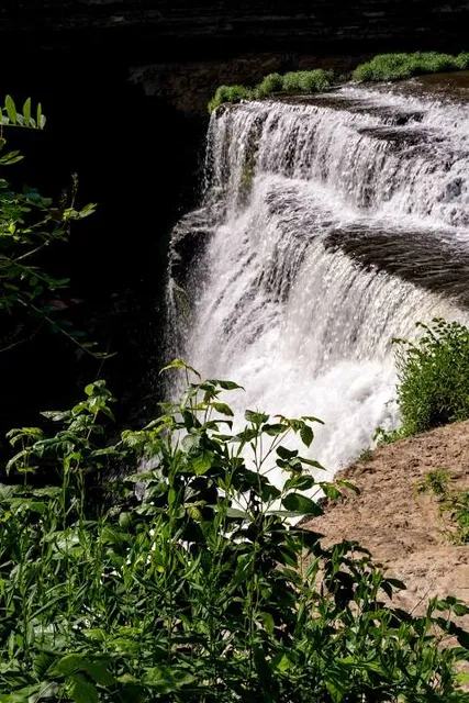photo-1