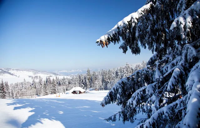 Skilifte Haldenköpfle