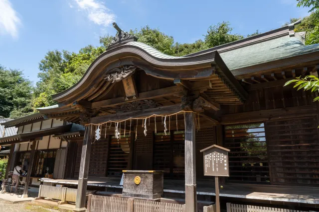 コヤスジンジャ