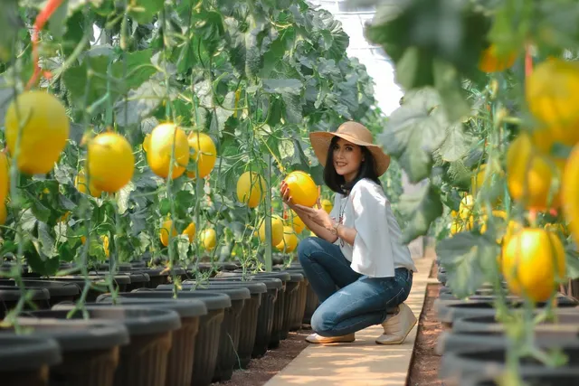 Hortimart Agro Center