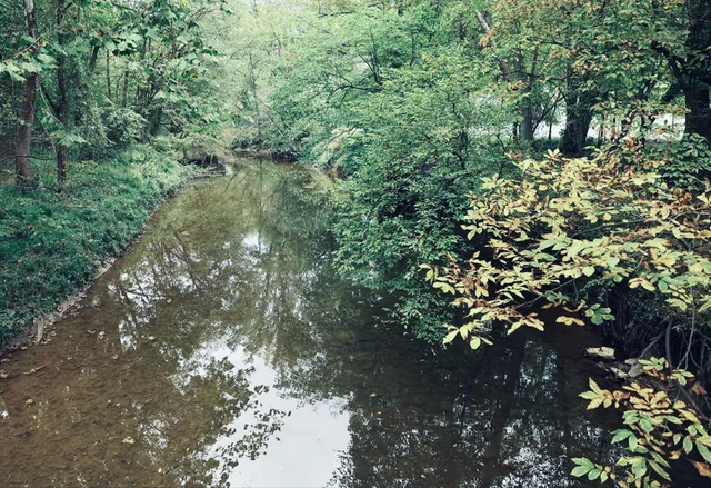 Webb Nature Sanctuary