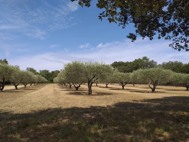 Mémoires de Garrigue