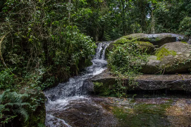 Cachoeira Na Trilha Dos Macacos