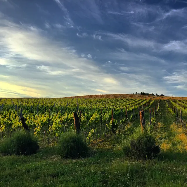 Castello dei Rampolla