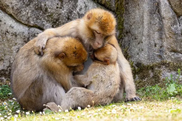 Museum of Prehistoric Cave Prepoštská