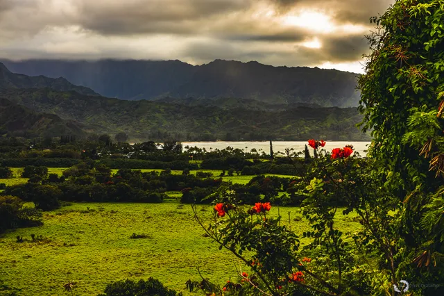 Hanalei Bay Lookout