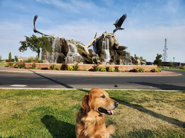 Giant Eagle Waterfall Nest