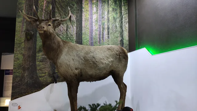 Museum of Nature of Buryatia