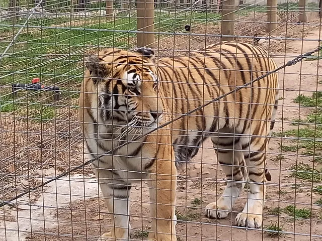 Vredenheim Wildlife & Winery