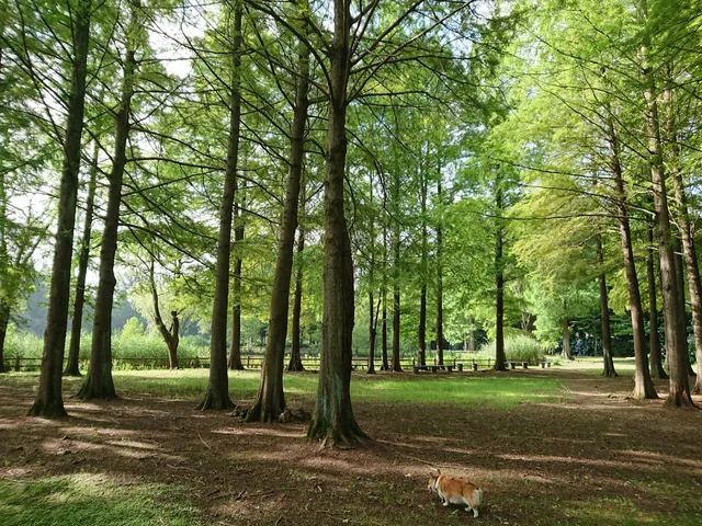 Kashiwa Village Mizube Park