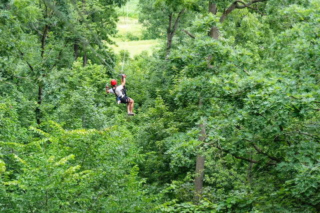 Long Hollow Canopy Tours
