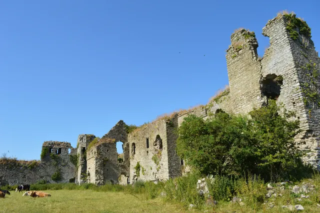 photo-1