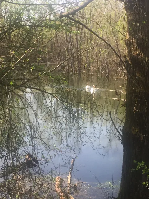Reserve naturelle de Beaune
