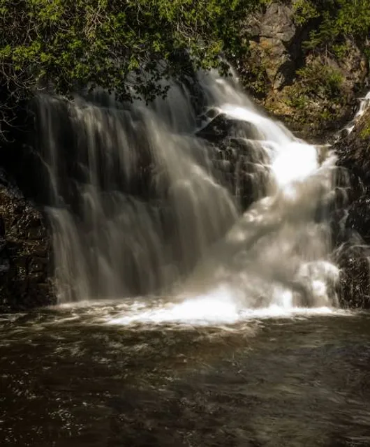 Centre d'accès à la nature de l'UQAM