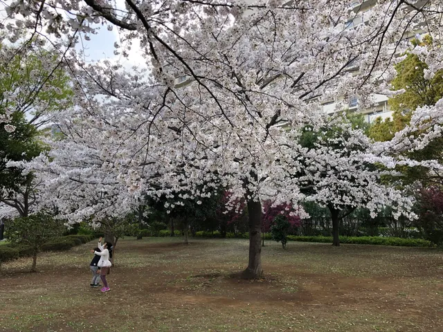 Long Roller slide and athletic ground