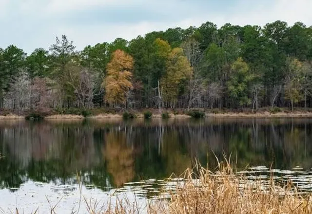 Lake Bob Sandlin State Park